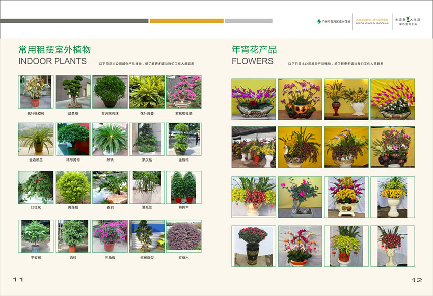 廣州花場苗木畫冊(cè)設(shè)計(jì),花場苗木畫冊(cè)設(shè)計(jì)公司