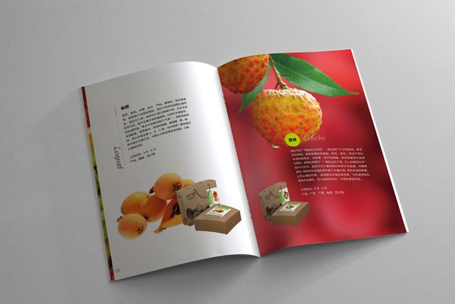宣傳冊(cè)設(shè)計(jì)一般一頁多少錢？宣傳冊(cè)的特點(diǎn)有哪些？