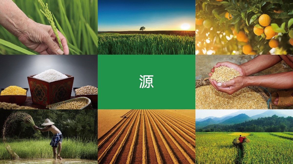 農(nóng)產(chǎn)品品牌設(shè)計技巧有哪些？怎樣塑造品牌形象