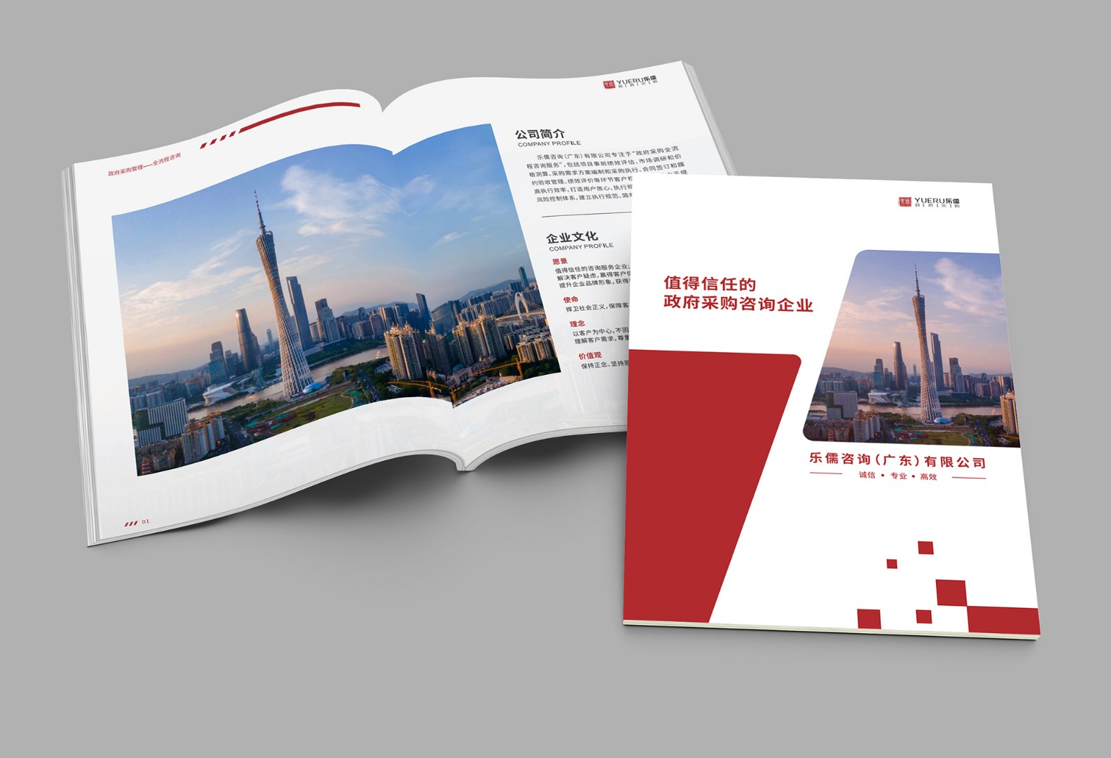 政府采購(gòu)公司畫冊(cè)設(shè)計(jì)