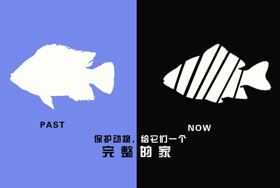 廣告設計制作有哪些要求？有哪些注意事項？