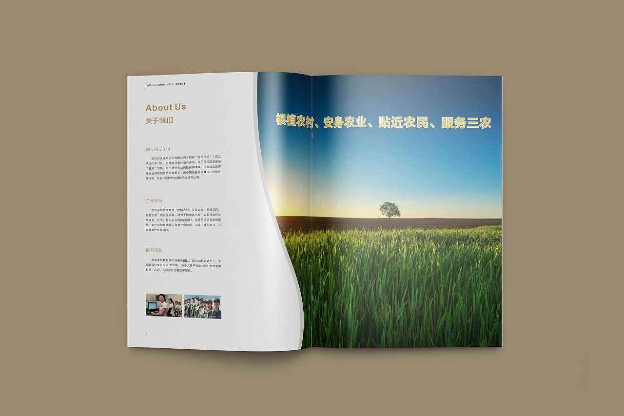 成都企業(yè)為什么要選擇高端宣傳冊設(shè)計(jì)公司呢？