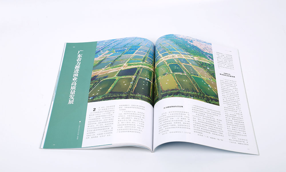 高端畫冊費(fèi)用哪兒好？