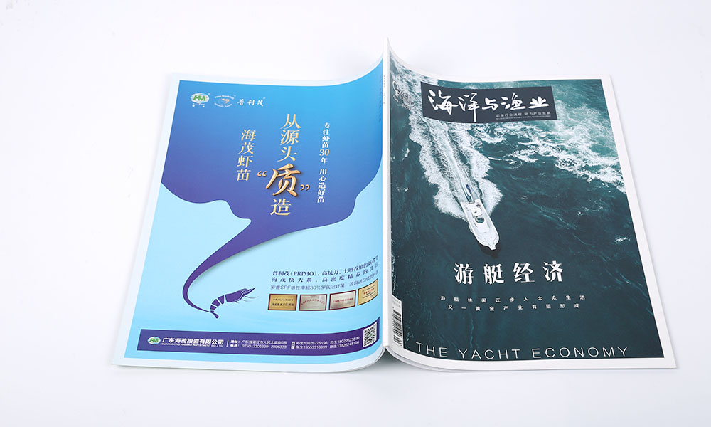 設(shè)計(jì)畫(huà)冊(cè)價(jià)格比較劃算？